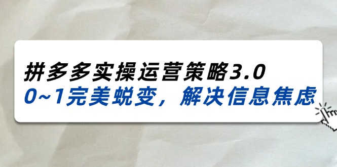 （11658期）2024_2025拼多多实操运营策略3.0，0~1完美蜕变，解决信息焦虑（38节）-邪修侠 - 演示
