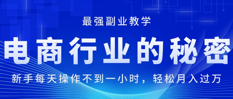 （11427期）电商行业的秘密，新手每天操作不到一小时，月入过万轻轻松松，最强副业…-邪修侠 - 演示