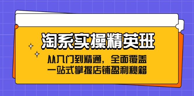 （12276期）淘系实操精英班：从入门到精通，全面覆盖，一站式掌握店铺盈利秘籍-网亿资源平台