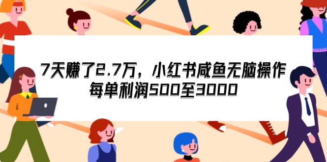 （12192期）7天收了2.7万，小红书咸鱼无脑操作，每单利润500至3000-网亿资源平台