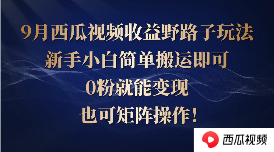 （12760期）西瓜视频收益野路子玩法，新手小白简单搬运即可，0粉就能变现，也可矩…-网亿资源平台
