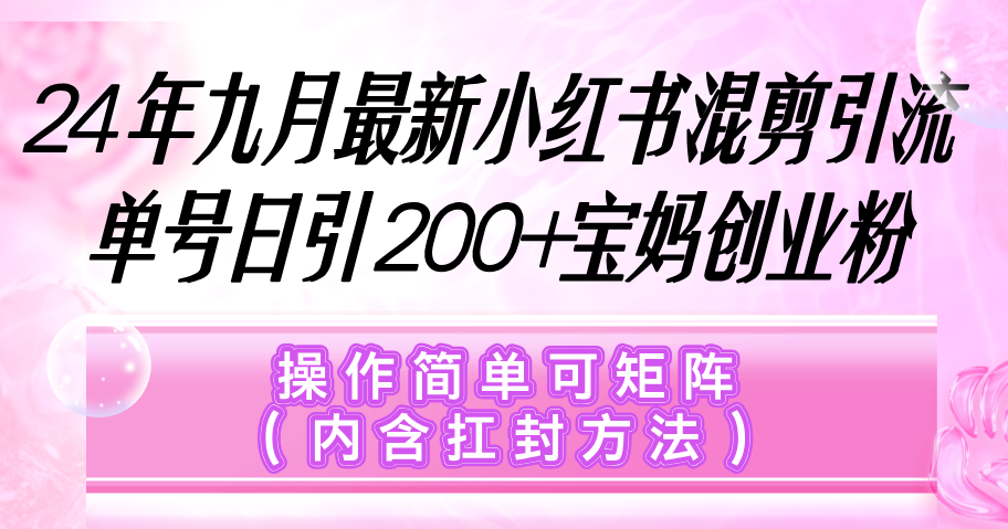 （12530期）小红书混剪引流，单号日引200+宝妈创业粉，操作简单可矩阵（内含扛封…-网亿资源平台