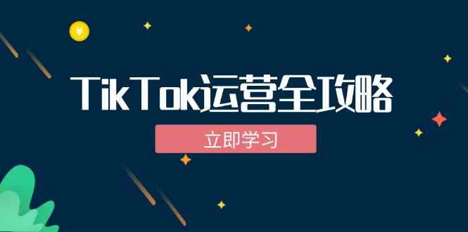 （12739期）TikTok实战运营全攻略：从下载软件到变现，抖音海外版实操教程-网亿资源平台
