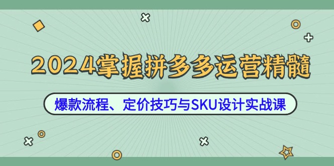 （12703期）2024掌握拼多多运营精髓：爆款流程、定价技巧与SKU设计实战课-网亿资源平台