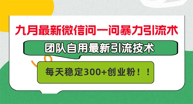 （12735期）九月最新微信问一问暴力引流术，团队自用引流术，每天稳定300+创…-网亿资源平台
