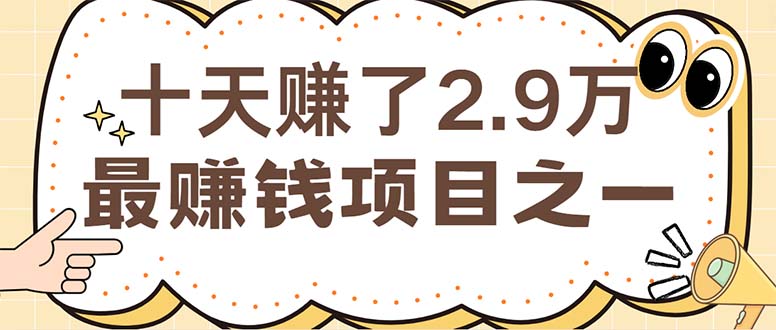 （12491期）闲鱼小红书赚钱项目之一，轻松月入6万+项目-网亿资源平台