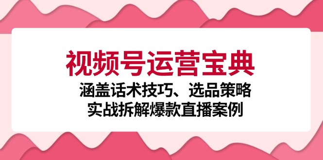 （12808期）视频号运营宝典：涵盖话术技巧、选品策略、实战拆解爆款直播案例-网亿资源平台