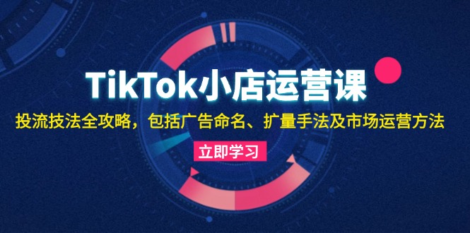 （13063期）TikTok小店运营课：投流技法全攻略，包括广告命名 扩量手法及市场运营方法-网亿资源平台