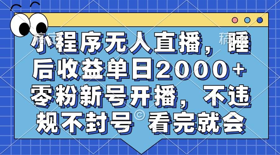 (13251期)小程序无人直播,睡后收益单日2000+ 零粉新号开播,不违规不封号 看完就会-皓哥创业笔记