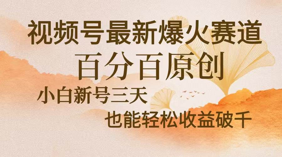 （13225期）视频号最新爆火赛道，中老年粉深信不疑，百分百原创，新号三天收益轻松…-皓哥创业笔记