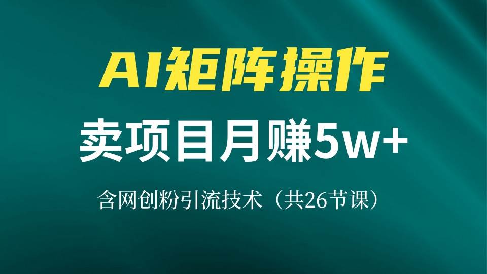 (13335期)网创IP打造课,借助AI卖项目月赚5万+,含引流技术(共26节课)-皓哥创业笔记