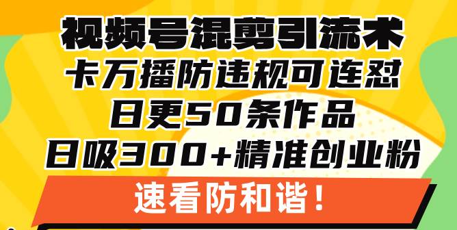 （13400期）视频号混剪引流技术，500万播放引流17000创业粉，操作简单当天学会-皓哥创业笔记