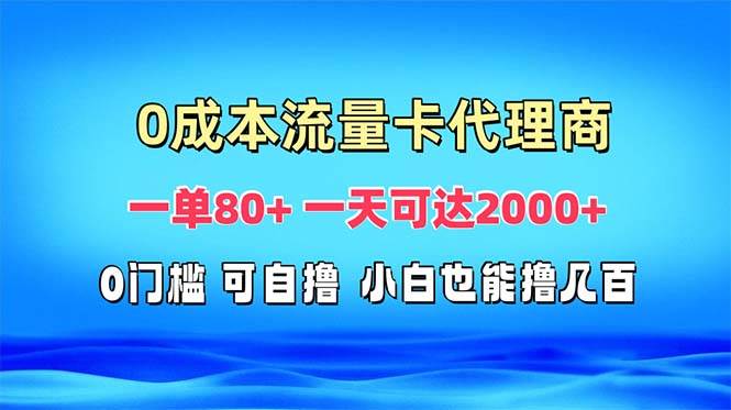 (13391期)免费流量卡代理一单80+ 一天可达2000+-皓哥创业笔记