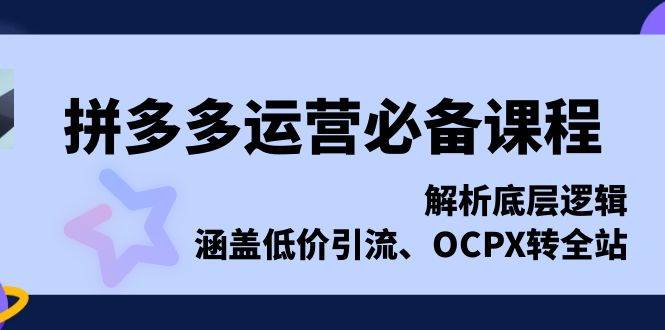 （13700期）拼多多运营必备课程，解析底层逻辑，涵盖低价引流、OCPX转全站-皓哥创业笔记
