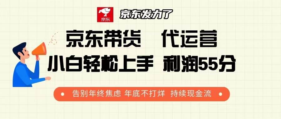 （13833期）京东带货 代运营 利润55分 告别年终焦虑 年底不打烊 持续现金流-皓哥创业笔记
