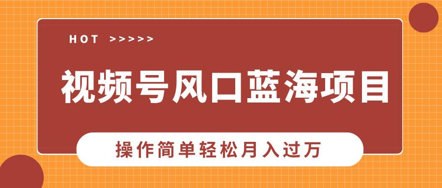 (13945期)视频号风口蓝海项目,中老年人的流量密码,操作简单轻松月入过万-皓哥创业笔记