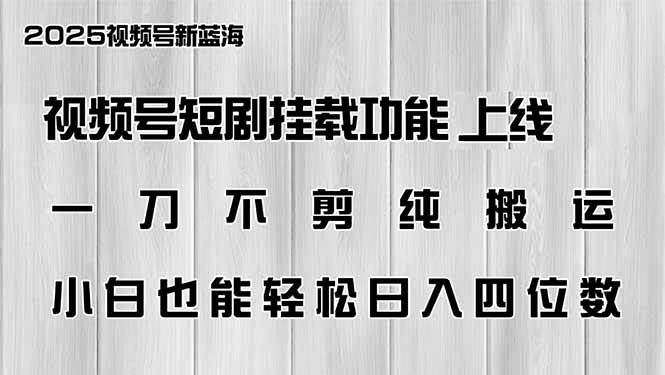 (14310期)视频号短剧挂载功能上线,一刀不剪纯搬运,小白也能轻松日入四位数-皓哥创业笔记