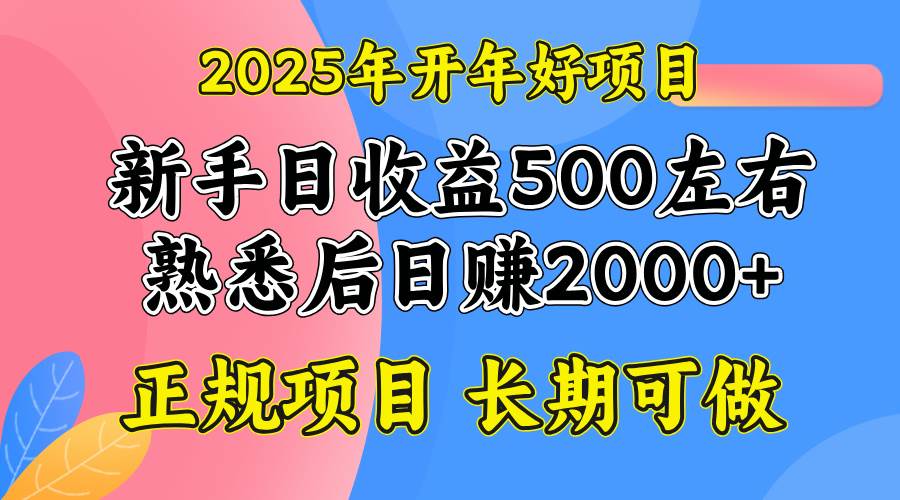 （14076期）2025开年好项目，单号日收益2000左右-皓哥创业笔记