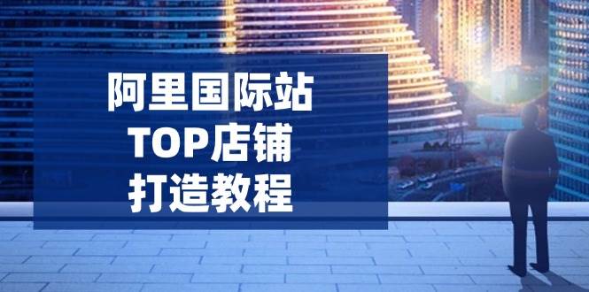 （14269期）阿里国际站TOP店铺打造教程：涵盖平台到高阶，解决运营难题，提升询盘-皓哥创业笔记
