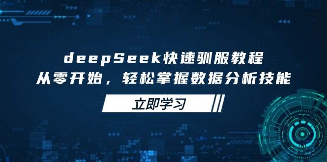 （14536期）deepSeek快速驯服教程，从零开始，轻松掌握数据分析技能-网亿资源平台