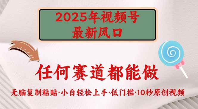 （14453期）2025年视频号新风口，低门槛只需要无脑执行-网亿资源平台