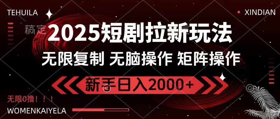 （14429期）2025短剧拉新玩法，无需注册登录，无限0撸，无脑批量操作日入2000+-网亿资源平台