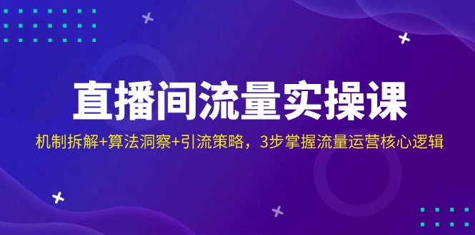（14122期）直播间流量实操课：机制拆解+算法洞察+引流策略，3步掌握流量运营核心逻辑-网亿资源平台