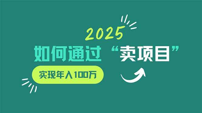 （14176期）2025年如何通过“卖项目”实现年入100万-网亿资源平台