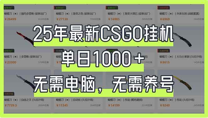 （14178期）25年最新CSGO挂机系统，单日1000+，无需电脑，无需养号，0基础可上手-网亿资源平台