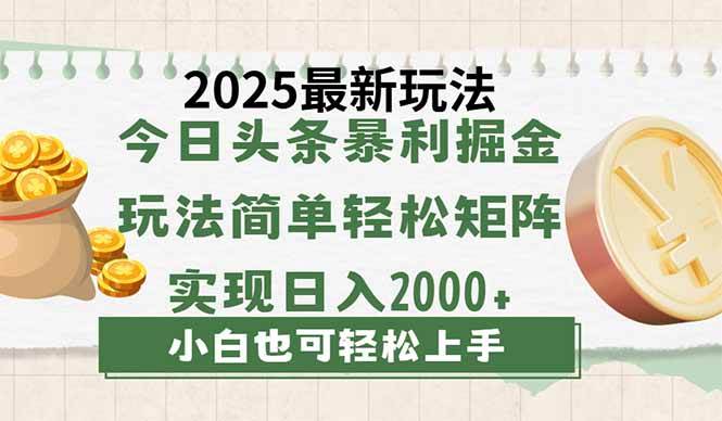 （14120期）今日头条2025最新玩法，思路简单，复制粘贴，轻松实现矩阵日入2000+-网亿资源平台