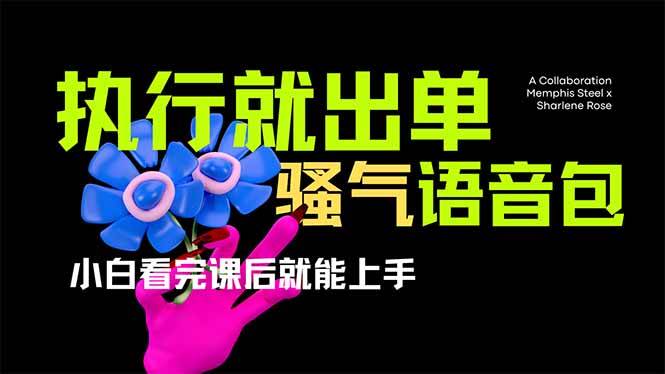 （14170期）爆火全网的开车导航骚气语音包,只要执行就出单，小白看完课程就能实操…-网亿资源平台