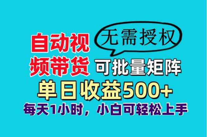 （14229期）自动视频带货，可批量矩阵，单日收益500+、轻松实现睡后收益，小白可…-网亿资源平台