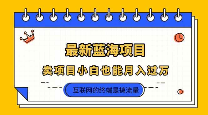 （14289期）2025年最新蓝海项目，卖项目小白也能月入过万-网亿资源平台