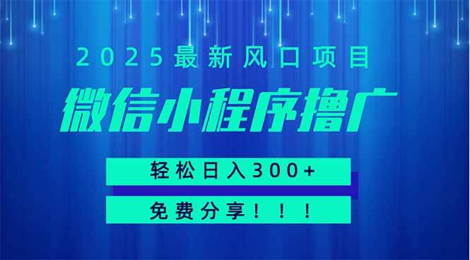 （14375期）微信小程序撸广，最新风口项目，日入300+ 免费分享 可批量操作 小白可…-网亿资源平台