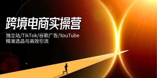 （14419期）跨境电商实操营：独立站/TikTok/谷歌广告/YouTube，精准选品与高效引流-网亿资源平台