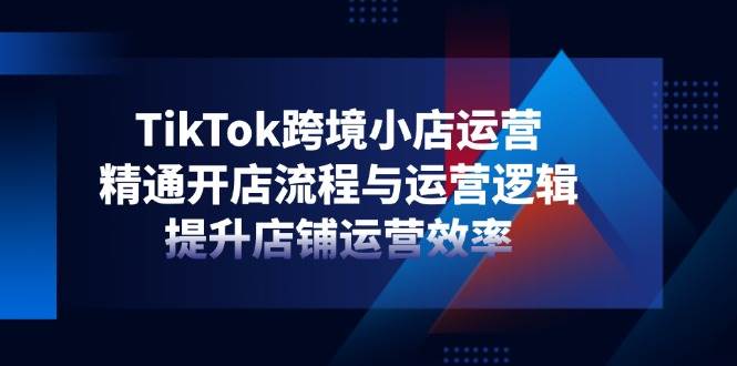 （14369期）TikTok跨境小店运营，精通开店流程与运营逻辑，提升店铺运营效率-网亿资源平台