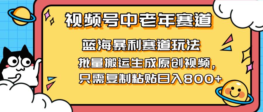 （14314期）2025视频号中老年短视频蓝海暴利风口！复制粘贴搬运视频单日赚800+，无…-网亿资源平台