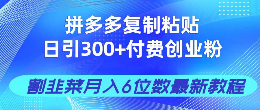 （14232期）拼多多复制粘贴日引300+付费创业粉，割韭菜月入6位数最新教程！-网亿资源平台