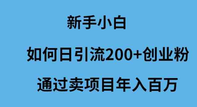(9668期)新手小白如何日引流200+创业粉通过卖项目年入百万-邪修侠 - 演示