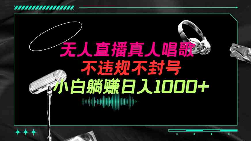 (9622期)抖音24小时无人直播音乐,不违规,不封号纯撸音浪,小白实操当天日入1000+-邪修侠 - 演示