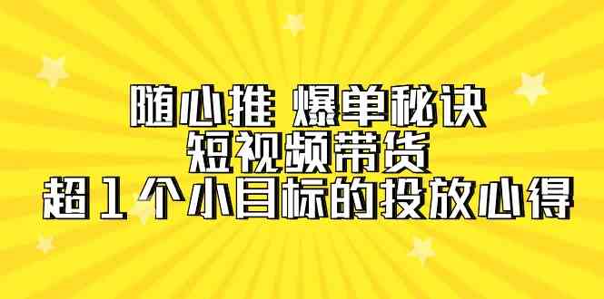 （9687期）随心推 爆单秘诀，短视频带货-超1个小目标的投放心得（7节视频课）-邪修侠 - 演示