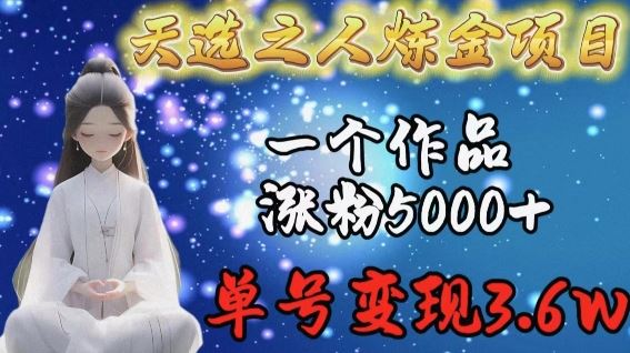 天选之人炼金项目，一个作品涨粉5000+，单号变现3.6w【揭秘】-网亿资源平台