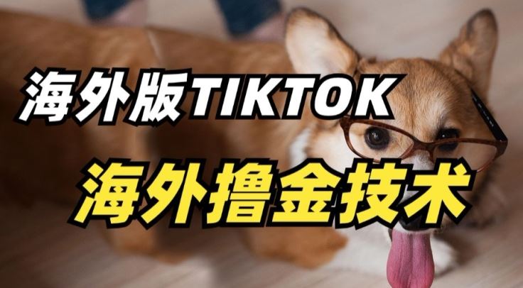 抖音海外版tiktok撸金技术,这个风口行业,赚钱真的不难【揭秘】-网亿资源平台