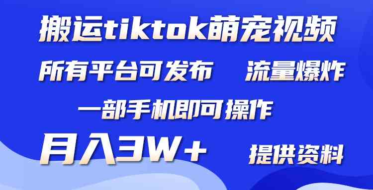 (9618期)搬运Tiktok萌宠类视频,一部手机即可。所有短视频平台均可操作,月入3W+-邪修侠 - 演示