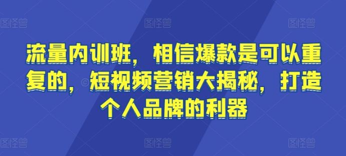 流量内训班，相信爆款是可以重复的，短视频营销大揭秘，打造个人品牌的利器-网亿资源平台