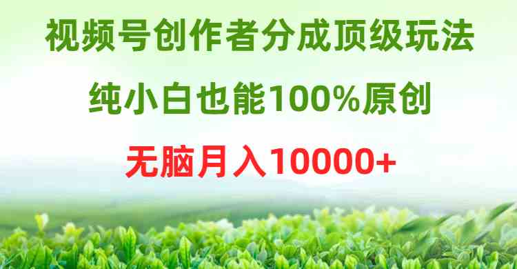 (9608期)视频号创作者分成顶级玩法,纯小白也能100%原创,无脑月入10000+-邪修侠 - 演示
