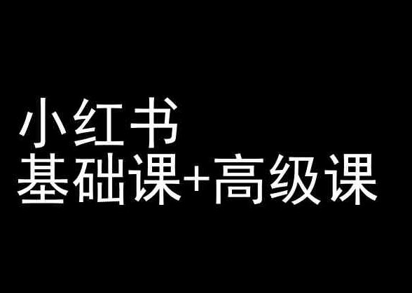 小红书基础课+高级课-小红书运营教程-网亿资源平台
