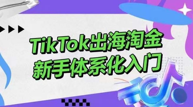 TikTok出海淘金,新手体系化入门,零基础快速入门,掌握短视频、直播带货等引流到变现的知识-邪修侠