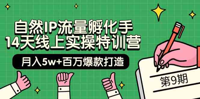(9881期)自然IP流量孵化手 14天线上实操特训营【第9期】月入5w+百万爆款打造 (74节)-邪修侠