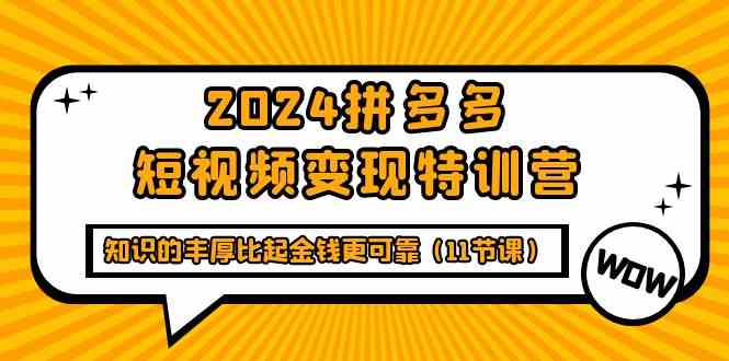 (9817期)2024拼多多短视频变现特训营,知识的丰厚比起金钱更可靠(11节课)-邪修侠
